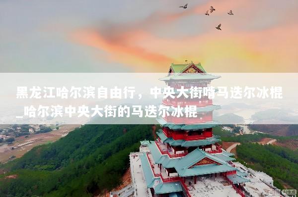 黑龙江哈尔滨自由行，中央大街啃马迭尔冰棍_哈尔滨中央大街的马迭尔冰棍