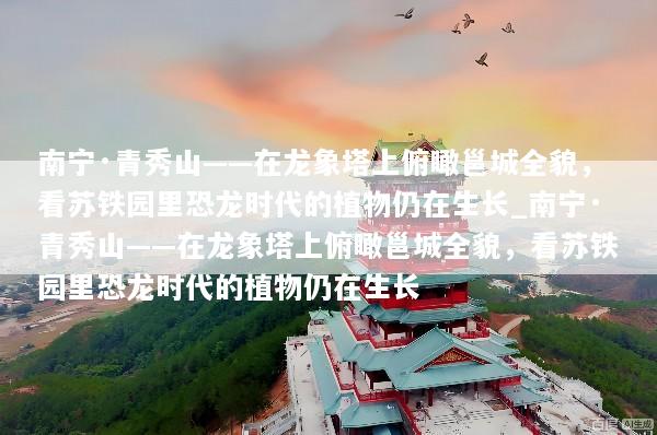 南宁·青秀山——在龙象塔上俯瞰邕城全貌，看苏铁园里恐龙时代的植物仍在生长_南宁·青秀山——在龙象塔上俯瞰邕城全貌，看苏铁园里恐龙时代的植物仍在生长