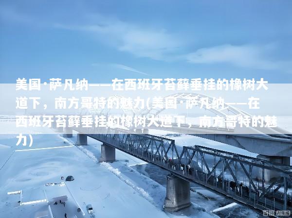 美国·萨凡纳——在西班牙苔藓垂挂的橡树大道下，南方哥特的魅力(美国·萨凡纳——在西班牙苔藓垂挂的橡树大道下，南方哥特的魅力)