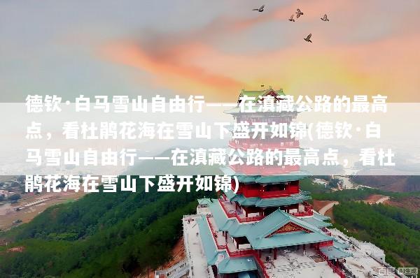 德钦·白马雪山自由行——在滇藏公路的最高点，看杜鹃花海在雪山下盛开如锦(德钦·白马雪山自由行——在滇藏公路的最高点，看杜鹃花海在雪山下盛开如锦)