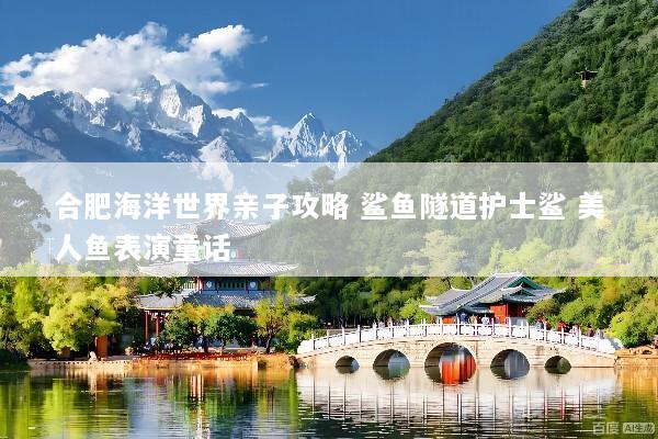 合肥海洋世界亲子攻略 鲨鱼隧道护士鲨 美人鱼表演童话