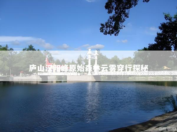 庐山汉阳峰原始森林云雾穿行探秘