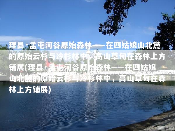 理县·孟屯河谷原始森林——在四姑娘山北麓的原始云杉与冷杉林中，高山草甸在森林上方铺展(理县·孟屯河谷原始森林——在四姑娘山北麓的原始云杉与冷杉林中，高山草甸在森林上方铺展)