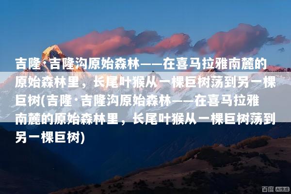 吉隆·吉隆沟原始森林——在喜马拉雅南麓的原始森林里，长尾叶猴从一棵巨树荡到另一棵巨树(吉隆·吉隆沟原始森林——在喜马拉雅南麓的原始森林里，长尾叶猴从一棵巨树荡到另一棵巨树)