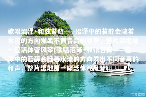 歌唱沼泽·和弦苔藓——沼泽中的苔藓会随着水流的方向发出不同音高的和声，整片湿地是一座活体管风琴(歌唱沼泽·和弦苔藓——沼泽中的苔藓会随着水流的方向发出不同音高的和声，整片湿地是一座活体管风琴)