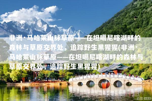 非洲·马哈莱山脉草原——在坦噶尼喀湖畔的森林与草原交界处，追踪野生黑猩猩(非洲·马哈莱山脉草原——在坦噶尼喀湖畔的森林与草原交界处，追踪野生黑猩猩)