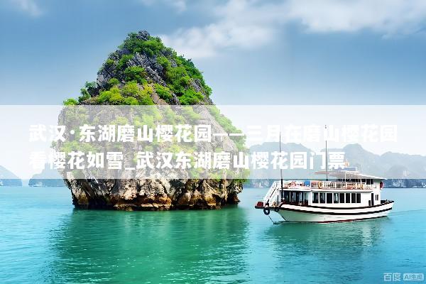 武汉·东湖磨山樱花园——三月在磨山樱花园看樱花如雪_武汉东湖磨山樱花园门票