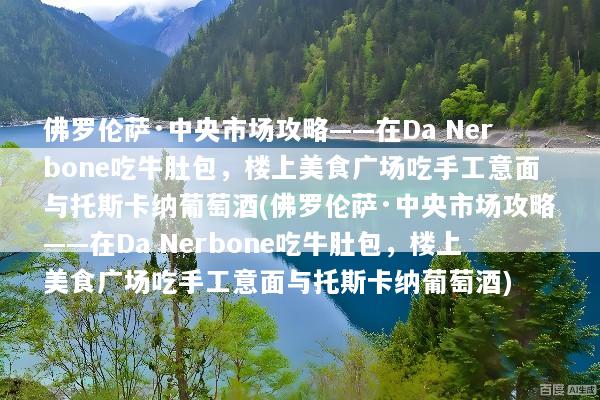 佛罗伦萨·中央市场攻略——在Da Nerbone吃牛肚包，楼上美食广场吃手工意面与托斯卡纳葡萄酒(佛罗伦萨·中央市场攻略——在Da Nerbone吃牛肚包，楼上美食广场吃手工意面与托斯卡纳葡萄酒)