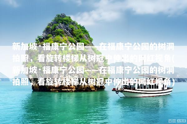 新加坡·福康宁公园——在福康宁公园的树洞拍照，看旋转楼梯从树冠中伸出的网红视角(新加坡·福康宁公园——在福康宁公园的树洞拍照，看旋转楼梯从树冠中伸出的网红视角)