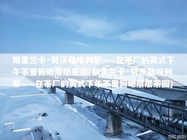 斯里兰卡·努沃勒埃利耶——在茶厂的英式下午茶里俯瞰层层茶园(斯里兰卡·努沃勒埃利耶——在茶厂的英式下午茶里俯瞰层层茶园)