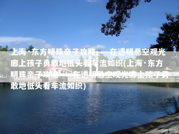 上海·东方明珠亲子攻略——在透明悬空观光廊上孩子勇敢地低头看车流如织(上海·东方明珠亲子攻略——在透明悬空观光廊上孩子勇敢地低头看车流如织)