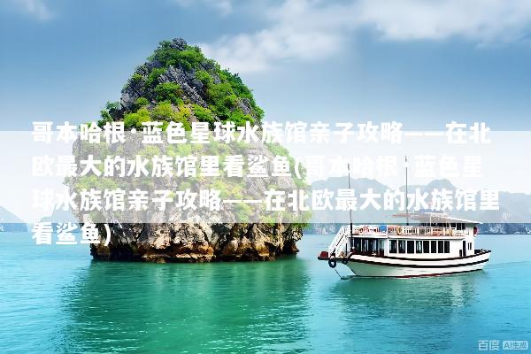 哥本哈根·蓝色星球水族馆亲子攻略——在北欧最大的水族馆里看鲨鱼(哥本哈根·蓝色星球水族馆亲子攻略——在北欧最大的水族馆里看鲨鱼)