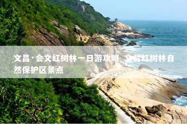 文昌·会文红树林一日游攻略_文昌红树林自然保护区景点