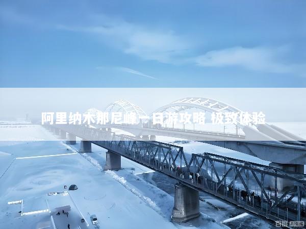 阿里纳木那尼峰一日游攻略 极致体验
