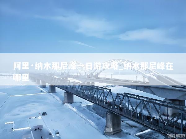 阿里·纳木那尼峰一日游攻略_纳木那尼峰在哪里